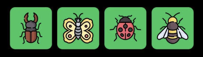 FLIES Daily Combo 25 June 2025